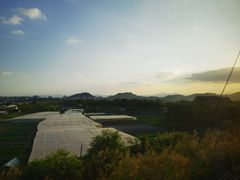 -吉莲利苑海鲜酒家(珠海拱北29年老字号店)