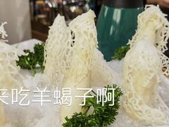 -和庆斋羊蝎子火锅·碳缸烧烤(顺义旗舰店)
