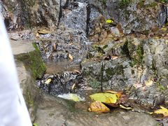 -广州市白云山风景名胜区