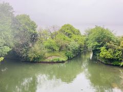 -西溪国家湿地公园