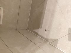 -春兰国宾馆(凤城河风景区老街店)