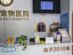 -丹景宠物医院·全科·老年病·牙科(武昌诊疗中心)