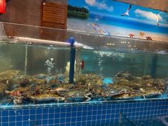-蓝珊甄选海鲜自助·火锅大排档(近阿那亚店)