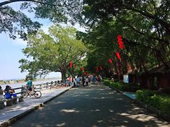 -大湾区中央湿地公园