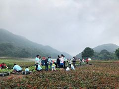 -广州市石门国家森林公园