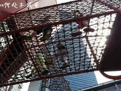 -中国福利会少年宫
