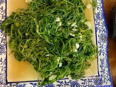 清炒野菠菜-老味道1992(武当山店)