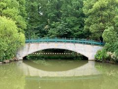 -东平国家森林公园