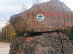 -汤旺河林海奇石景区