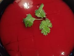 -辣伍鲜毛肚老火锅(元一店)