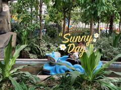 -南宫五洲植物乐园