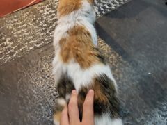 -老蜀人川菜馆(中关村店)