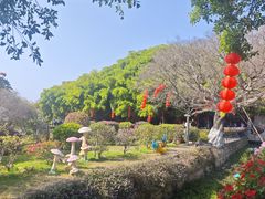 -胡里山炮台