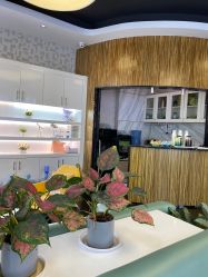 -比华利美容医院