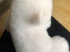 -关爱动物医院·心脏·中兽医·异宠(金牛路分院)