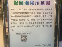 -陕西省小天鹅艺术团