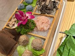 -淼福猪肚鸡·椰子鸡火锅(大沙地店)