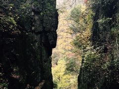 -东天目山风景区