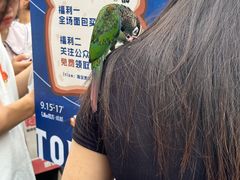 -合景·悠方(成都店)