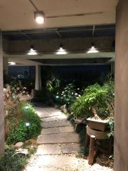 -罗亚帝·NASHOW纳秀形象设计