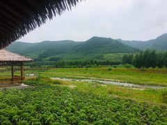 -塞罕坝国家级自然保护区