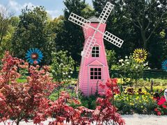 -上海共青森林公园