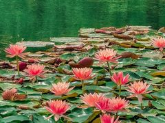 -白鹭湾湿地公园