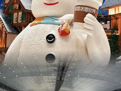 -哈尔滨热雪奇迹