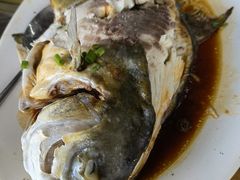 -明记海鲜大排档(巽寮湾店)