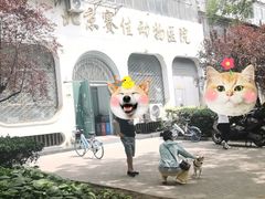 -北京赛佳动物医院