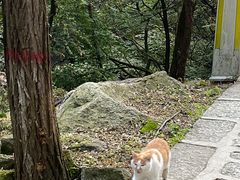 -华山风景名胜区