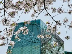 -龙美术馆(西岸馆)