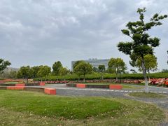 -春花秋色城市公园