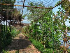 -天下先生态园农庄CS团建露营地(海鸥岛店)