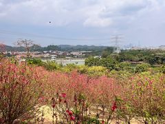 -水濂山森林公园