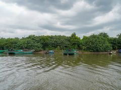 -东寨港红树林旅游区