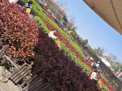 -季高兔窝窝亲子园(上海薰衣草公园店)