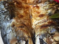 烤青花鱼-月下料理(楷林IFC店)