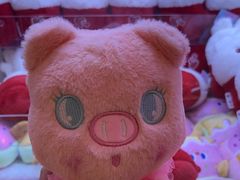 -海底捞火锅(莘松路店)
