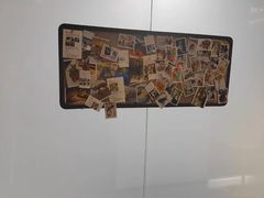 -立德异宠动物医院.兔鸟爬.内窥镜(天河店)