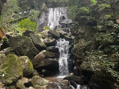 -藏龙百瀑风景区