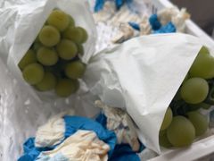 -马陆小张葡萄园农家乐