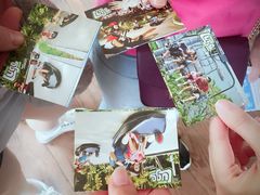 -圣淘沙天际线斜坡滑车