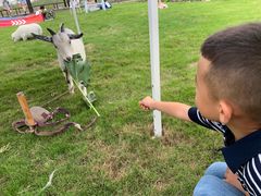 -杭州湾海上花田景区