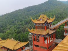 -东莞市大岭山森林公园