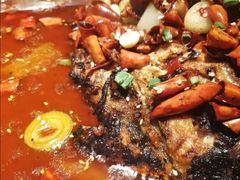 -锦尚阁烤鱼(望京新荟城店)