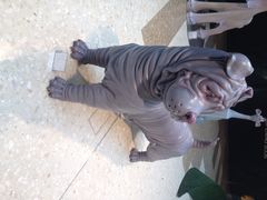 JFC品尚中心-JFC品尚中心