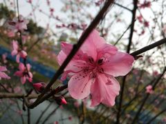 -重庆彩云湖湿地公园