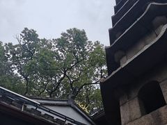 -仓山金山寺