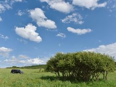 -御道口草原森林风景区